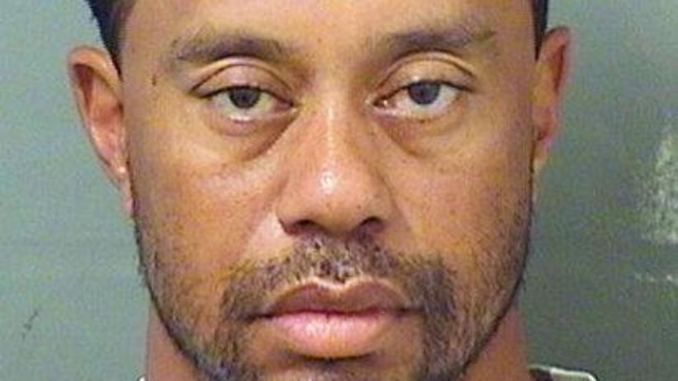 Tiger Woods Faces DUI Charges After Florida Rollover Crash