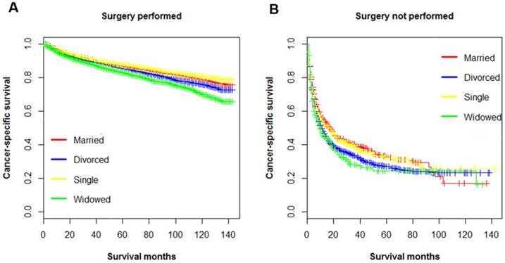 Unmarried Status Linked to Significantly Higher Cancer Risk in Major Study