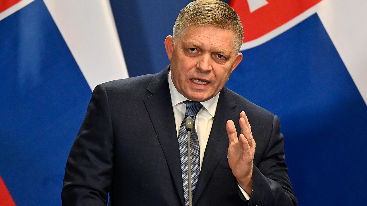 Slovak Prime Minister Fico Vows Slovakia Will Reject €70 Billion NATO Military Aid Package for Kiev