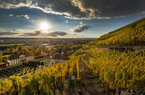 Germany’s Oldest Winery on Brink of Bankruptcy by 2027 Amid Wine Market Crisis